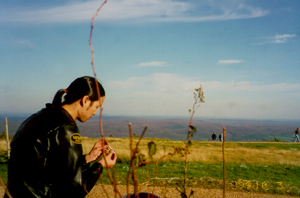 top of mt. greylock